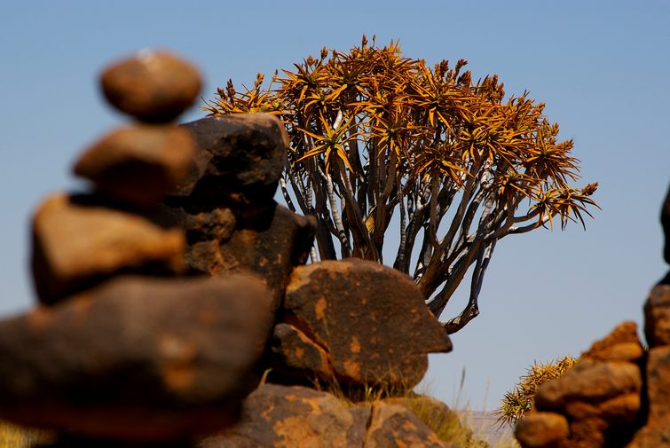 106 Namibia Okt 2006 .JPG